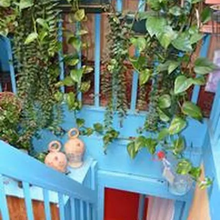 Apartment Centre
